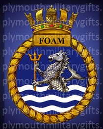 HMS Foam Magnet